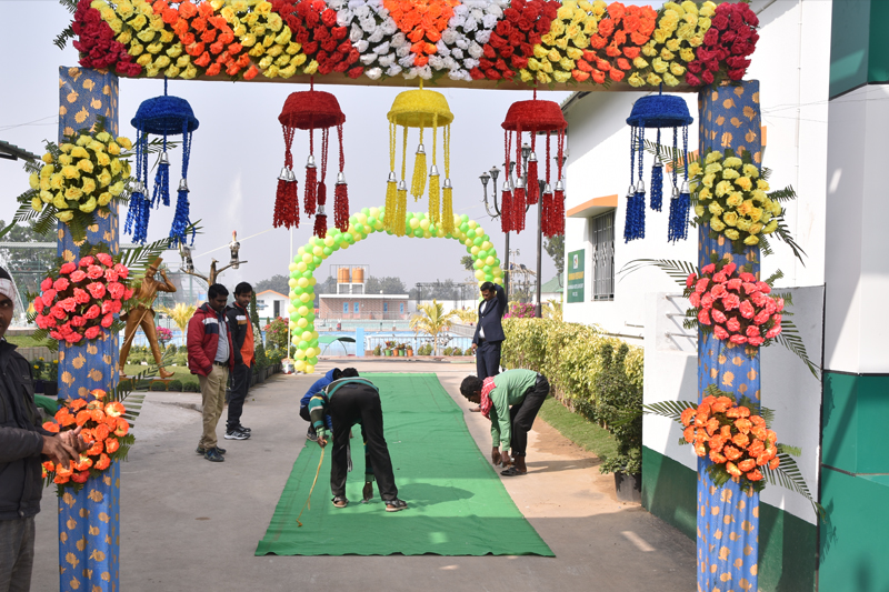 Product Launches